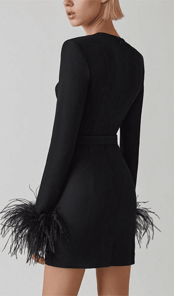 STRETCH LONG SLEEVES FEATHER MINI DRESS IN BLACK-Dresses-Oh CICI SHOP