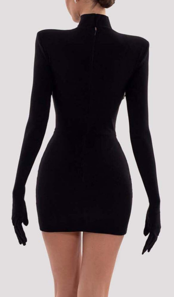 LONG SLEEVE EMBROIDERED MINI DRESS IN BLACK DRESS ohcici 
